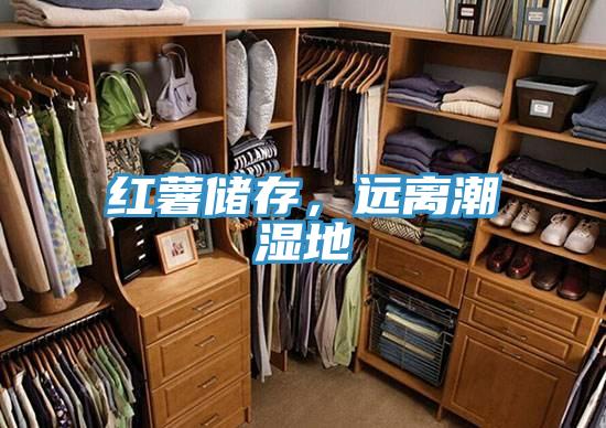 紅薯儲存，遠(yuǎn)離潮濕地