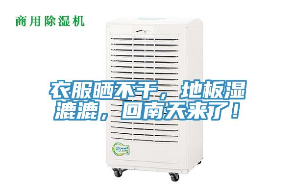 衣服曬不干，地板濕漉漉，回南天來了！