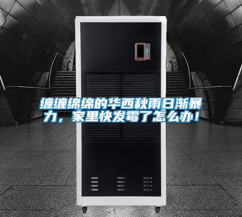 纏纏綿綿的華西秋雨日漸暴力，家里快發霉了怎么辦！