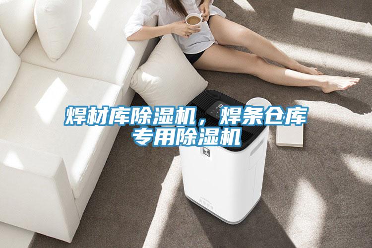 焊材庫(kù)除濕機(jī)，焊條倉(cāng)庫(kù)專用除濕機(jī)