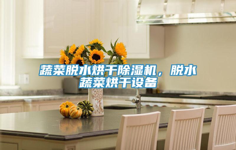蔬菜脫水烘干除濕機，脫水蔬菜烘干設備