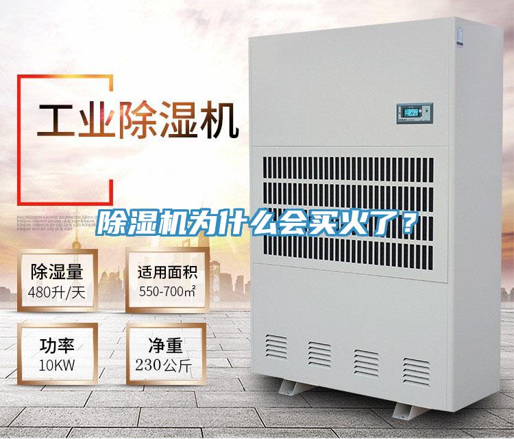 除濕機為什么會買火了？