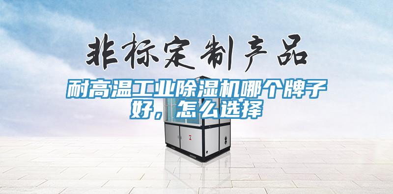 耐高溫工業(yè)除濕機哪個牌子好，怎么選擇