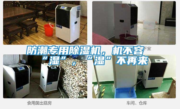 防潮專用除濕機(jī)，機(jī)不容“濕”，“濕”不再來