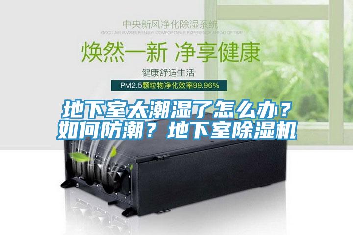 地下室太潮濕了怎么辦？如何防潮？地下室除濕機(jī)