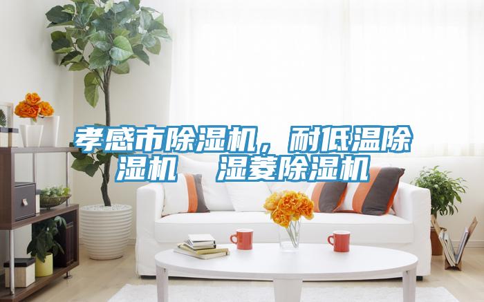 孝感市除濕機，耐低溫除濕機  濕菱除濕機