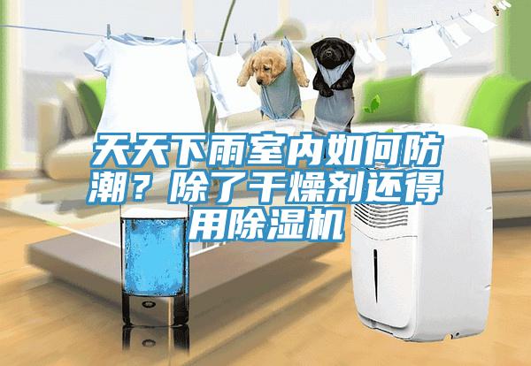 天天下雨室內(nèi)如何防潮？除了干燥劑還得用除濕機(jī)