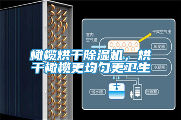 橄欖烘干除濕機，烘干橄欖更均勻更衛生