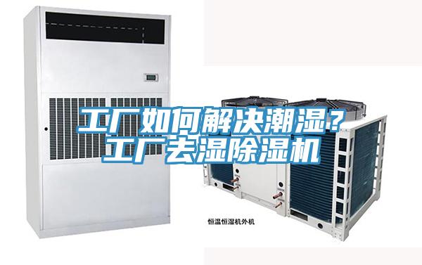 工廠如何解決潮濕？工廠去濕除濕機