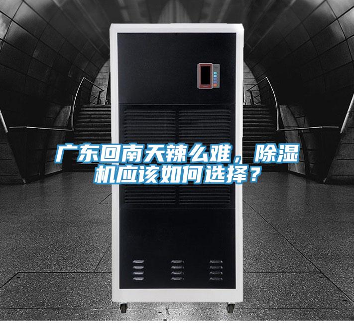 廣東回南天辣么難，除濕機應(yīng)該如何選擇？