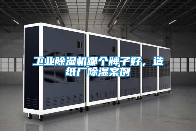 工業除濕機哪個牌子好，造紙廠除濕案例