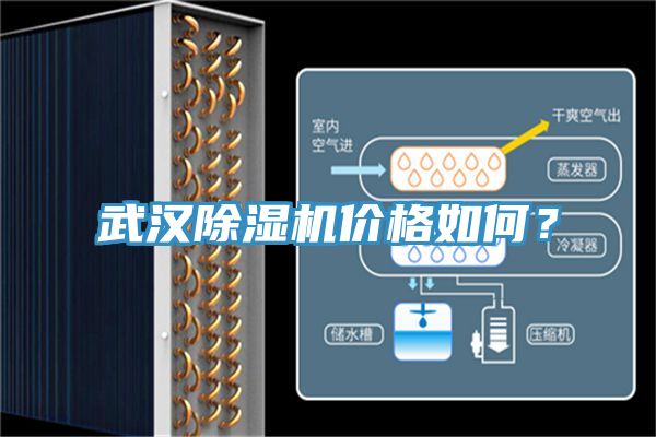 武漢除濕機價格如何？