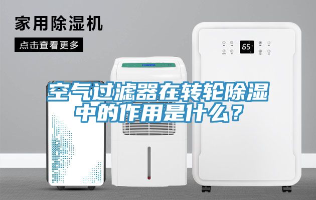 空氣過濾器在轉輪除濕中的作用是什么？