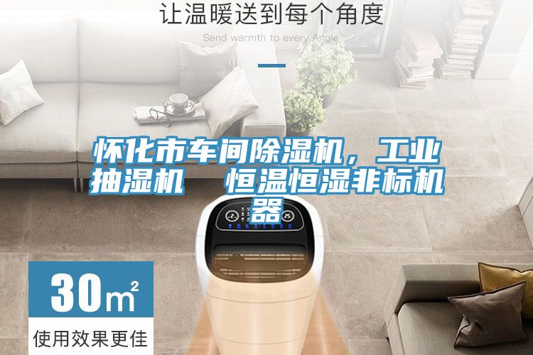 懷化市車(chē)間除濕機(jī)，工業(yè)抽濕機(jī)  恒溫恒濕非標(biāo)機(jī)器