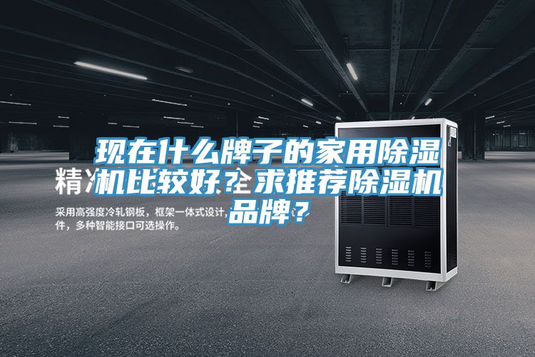 現在什么牌子的家用除濕機比較好？求推薦除濕機品牌？