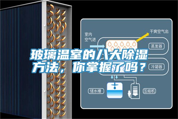 玻璃溫室的八大除濕方法，你掌握了嗎？