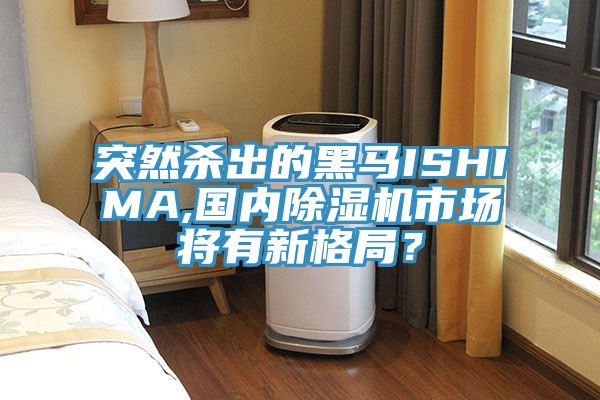 突然殺出的黑馬ISHIMA,國內(nèi)除濕機市場將有新格局？