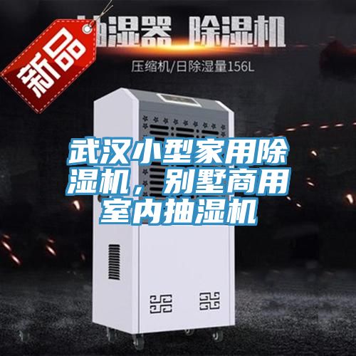 武漢小型家用除濕機，別墅商用室內抽濕機