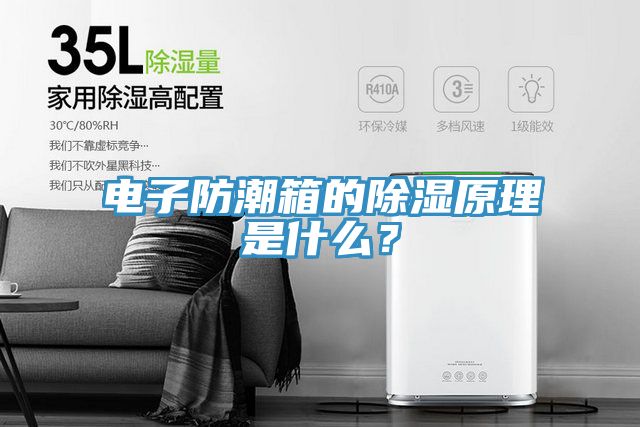 電子防潮箱的除濕原理是什么?