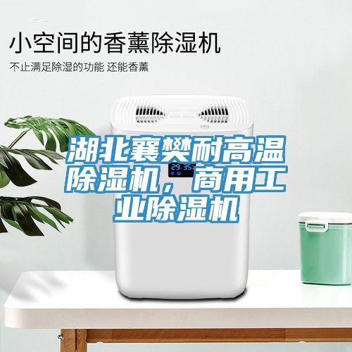 湖北襄樊耐高溫除濕機(jī),商用工業(yè)除濕機(jī)