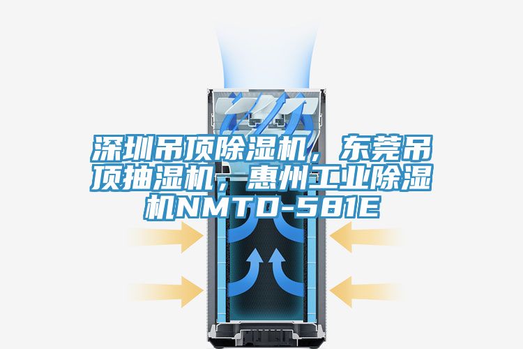 深圳吊頂除濕機(jī),東莞吊頂抽濕機(jī),惠州工業(yè)除濕機(jī)NMTD-581E