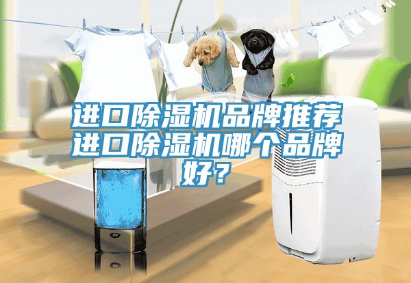 進口除濕機品牌推薦進口除濕機哪個品牌好？