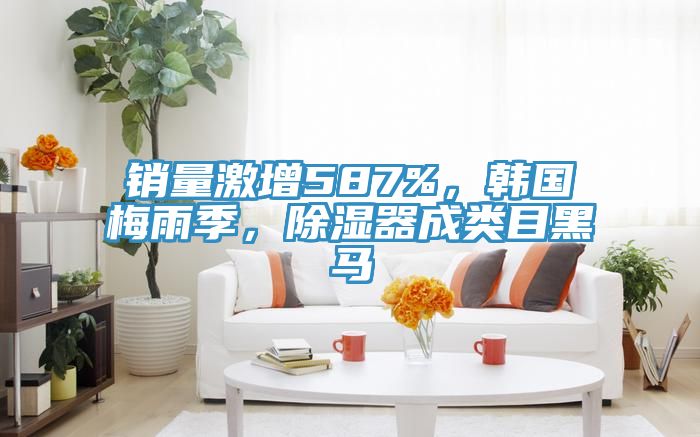 銷量激增587%，韓國梅雨季，除濕器成類目黑馬