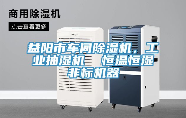 益陽市車間除濕機，工業抽濕機  恒溫恒濕非標機器