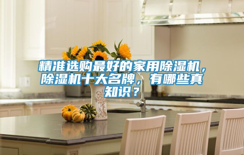 精準選購最好的家用除濕機,除濕機十大名牌,有哪些真知識?