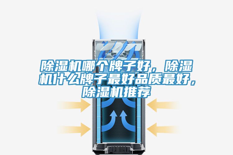 除濕機哪個牌子好，除濕機什么牌子最好品質最好，除濕機推薦