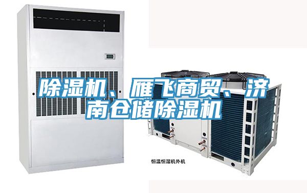 除濕機(jī)、雁飛商貿(mào)、濟(jì)南倉儲除濕機(jī)
