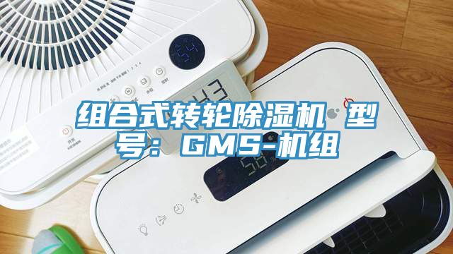 組合式轉(zhuǎn)輪除濕機 型號:GMS-機組