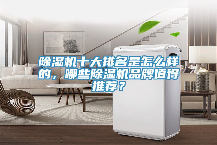 除濕機十大排名是怎么樣的,哪些除濕機品牌值得推薦?