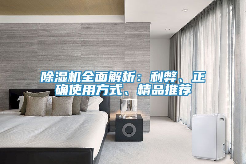 除濕機全面解析：利弊、正確使用方式、精品推薦