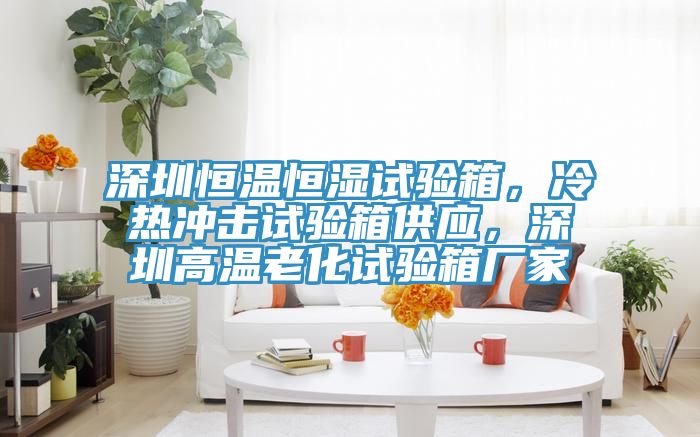 深圳恒溫恒濕試驗箱,冷熱沖擊試驗箱供應,深圳高溫老化試驗箱廠家