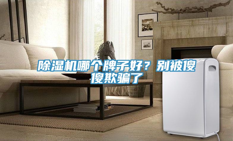 除濕機哪個牌子好？別被傻傻欺騙了