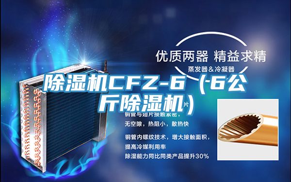 除濕機(jī)CFZ-6(6公斤除濕機(jī))
