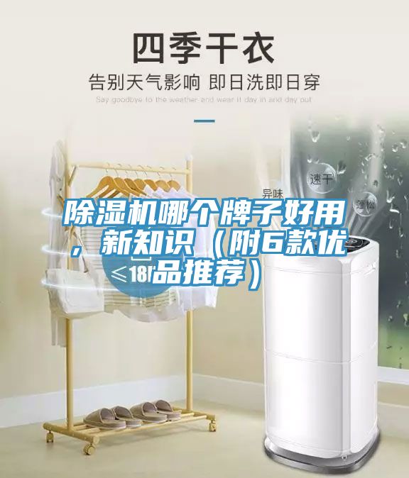 除濕機哪個牌子好用，新知識（附6款優品推薦）