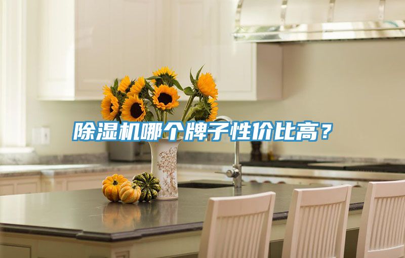 除濕機哪個牌子性價比高？