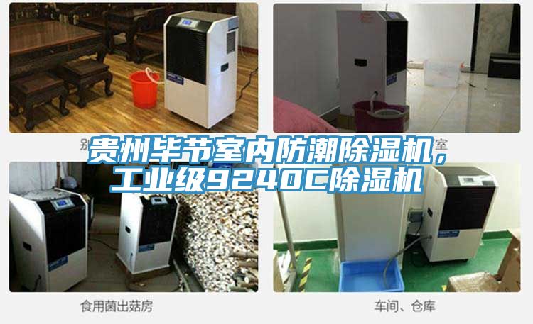 貴州畢節(jié)室內防潮除濕機，工業(yè)級9240C除濕機