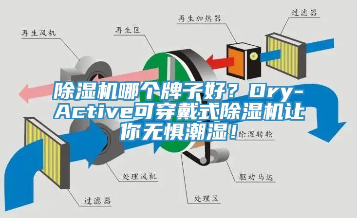 除濕機哪個牌子好？Dry-Active可穿戴式除濕機讓你無懼潮濕！