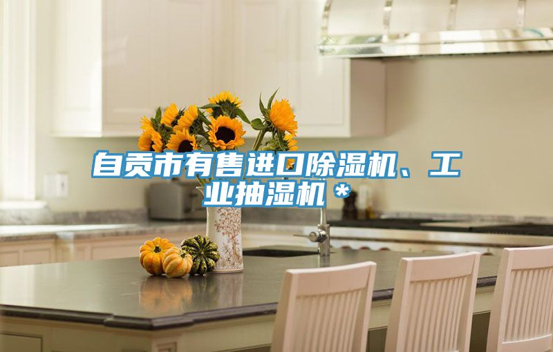自貢市有售進口除濕機、工業抽濕機*