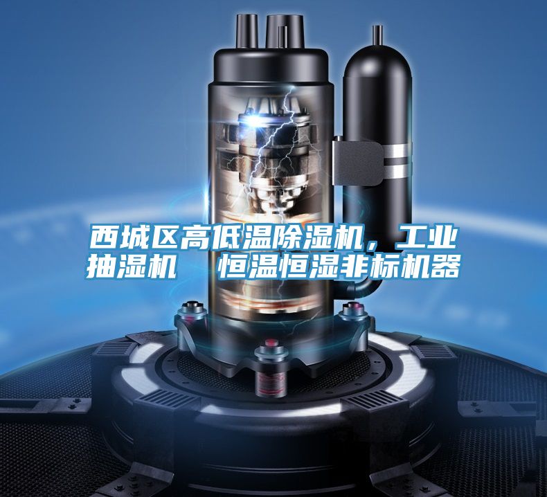 西城區高低溫除濕機，工業抽濕機  恒溫恒濕非標機器