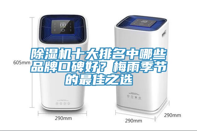 除濕機十大排名中哪些品牌口碑好?梅雨季節的最佳之選