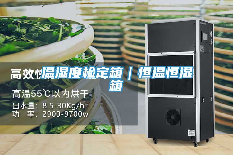 溫濕度檢定箱|恒溫恒濕箱