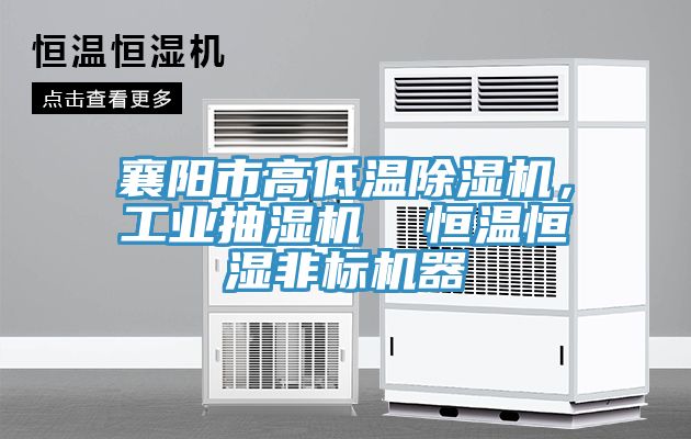 襄陽市高低溫除濕機，工業抽濕機  恒溫恒濕非標機器