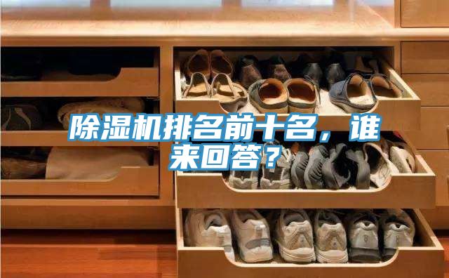 除濕機排名前十名,誰來回答?