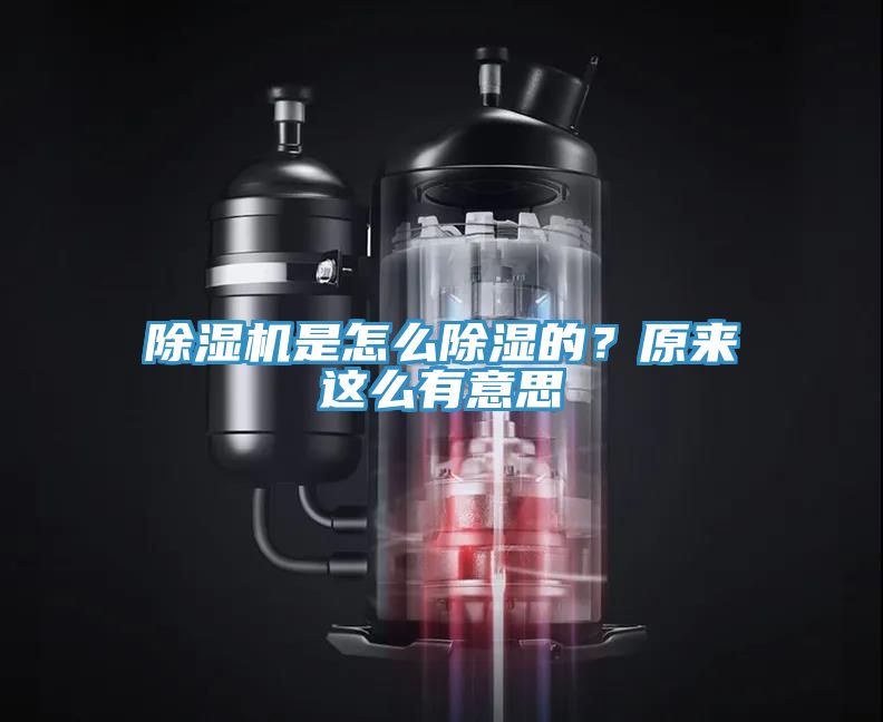 除濕機是怎么除濕的？原來這么有意思