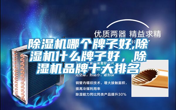 除濕機哪個牌子好,除濕機什么牌子好，除濕機品牌十大排名