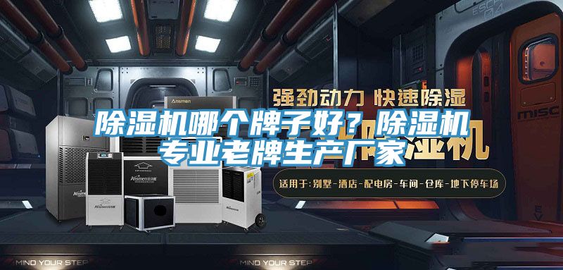 除濕機(jī)哪個(gè)牌子好?除濕機(jī)專業(yè)老牌生產(chǎn)廠家